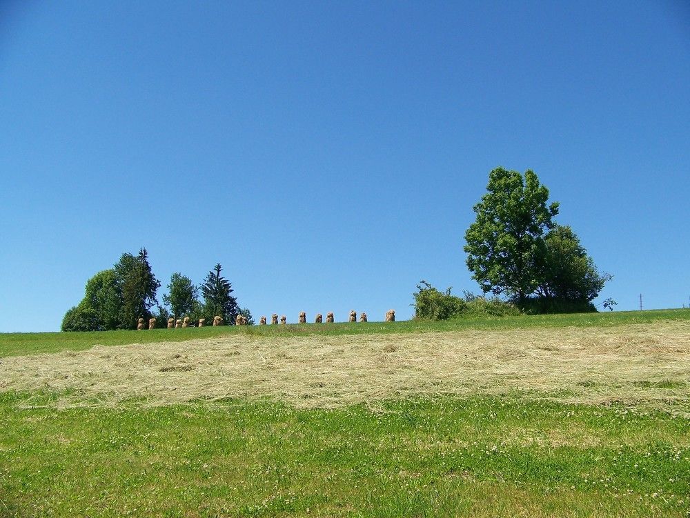 Tatra Goralski Wellnes & Spa Курортний комплекс